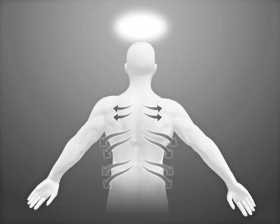 Frota a lo largo 
de los conductos nerviosos que parten de la espina dorsal, hacia la parte frontal del cuerpo.