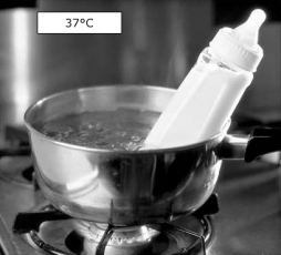 7. Heat a bottle to 98.6° F (body temperature).